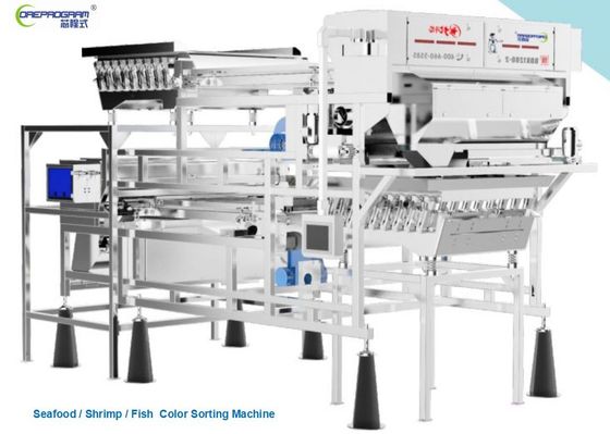 جودة  Fish / Shrimp Sorting Machine Double Layer Belt Type 5400 pixels 220V 50Hz مصنع