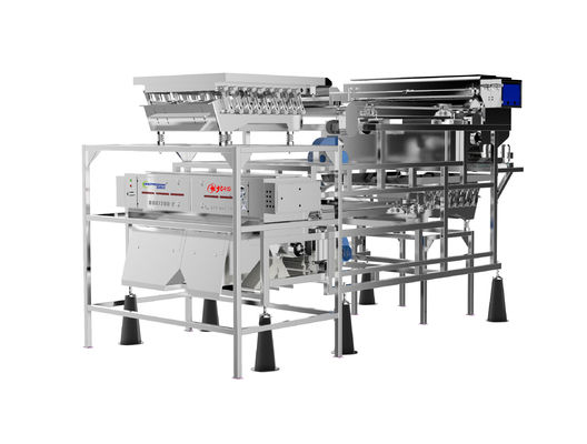 جودة  Customized Fruit Sorting Machine Belt Type 1.0-1.5T/H Blueberry Color Sorter مصنع