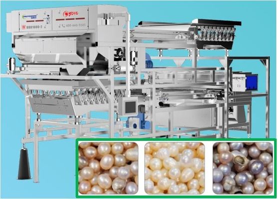 Precise Removal Pearl Color Sorter , 3-3.5 T/H Shrimp Sorting Equipment