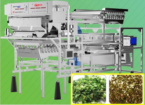 RGB Vegetable Sorting Machine Quality Components 2.0 t/h For Chopped Scallion
