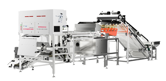 64 Ejectors 1.5 - 3.5 T/H Low Consumption And High Efficiency Nuts Fruit Color Sorter